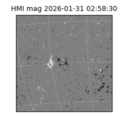 shmi - 2026-01-31T02:58:30.700000