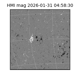 shmi - 2026-01-31T04:58:30.700000