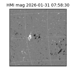 shmi - 2026-01-31T07:58:30.800000