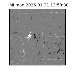 shmi - 2026-01-31T13:58:30.600000