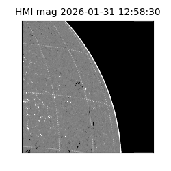 shmi - 2026-01-31T12:58:30.600000