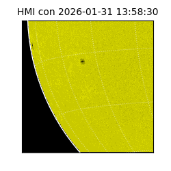 shmi - 2026-01-31T13:58:30.600000