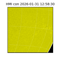 shmi - 2026-01-31T12:58:30.600000