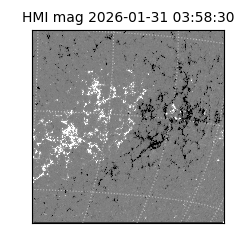 shmi - 2026-01-31T03:58:30.700000