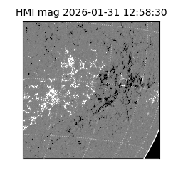 shmi - 2026-01-31T12:58:30.600000