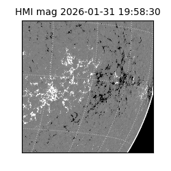 shmi - 2026-01-31T19:58:30.500000
