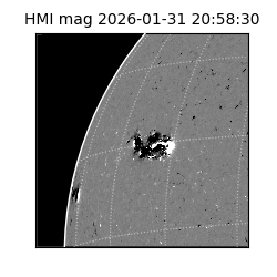 shmi - 2026-01-31T20:58:30.500000