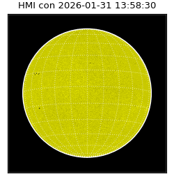 shmi - 2026-01-31T13:58:30.600000