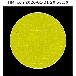 shmi - 2026-01-31T20:58:30.500000