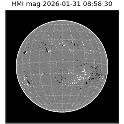 shmi - 2026-01-31T08:58:30.700000