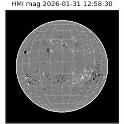 shmi - 2026-01-31T12:58:30.600000