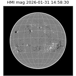 shmi - 2026-01-31T14:58:30.600000
