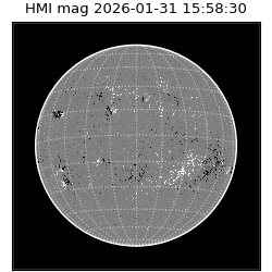 shmi - 2026-01-31T15:58:30.500000