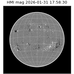 shmi - 2026-01-31T17:58:30.500000