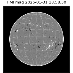 shmi - 2026-01-31T18:58:30.500000