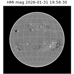 shmi - 2026-01-31T19:58:30.500000