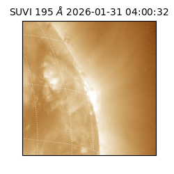 suvi - 2026-01-31T04:00:32.519000