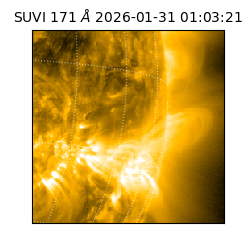 suvi - 2026-01-31T01:03:21.985000