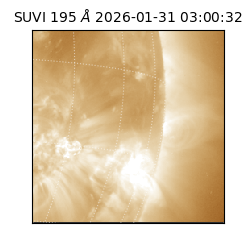 suvi - 2026-01-31T03:00:32.337000