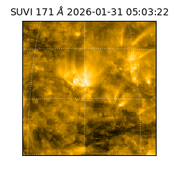 suvi - 2026-01-31T05:03:22.711000