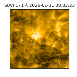 suvi - 2026-01-31T08:03:23.259000