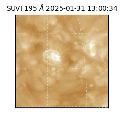suvi - 2026-01-31T13:00:34.149000