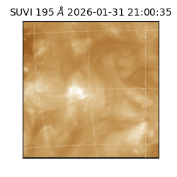 suvi - 2026-01-31T21:00:35.611000