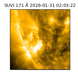 suvi - 2026-01-31T02:03:22.171000