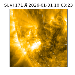 suvi - 2026-01-31T10:03:23.625000