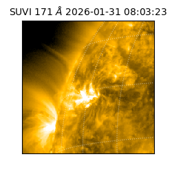 suvi - 2026-01-31T08:03:23.259000