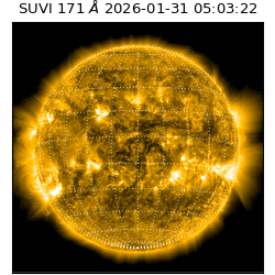 suvi - 2026-01-31T05:03:22.711000