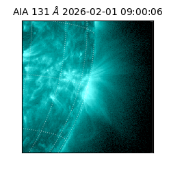 saia - 2026-02-01T09:00:06.622000