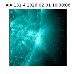 saia - 2026-02-01T10:00:06.638000