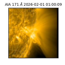 saia - 2026-02-01T01:00:09.350000