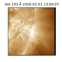 saia - 2026-02-01T13:00:07.367000