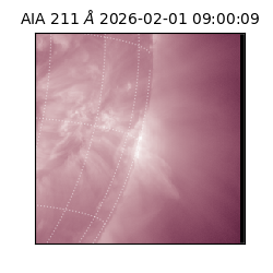 saia - 2026-02-01T09:00:09.626000