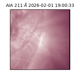 saia - 2026-02-01T19:00:33.626000