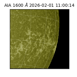 saia - 2026-02-01T11:00:14.133000