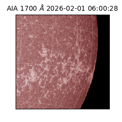 saia - 2026-02-01T06:00:28.720000