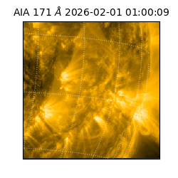 saia - 2026-02-01T01:00:09.350000