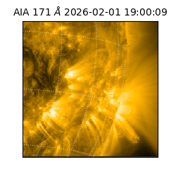 saia - 2026-02-01T19:00:09.352000