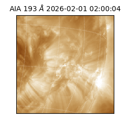 saia - 2026-02-01T02:00:04.843000