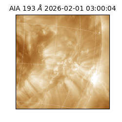 saia - 2026-02-01T03:00:04.843000