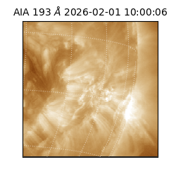 saia - 2026-02-01T10:00:06.939000