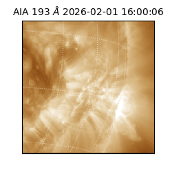 saia - 2026-02-01T16:00:06.780000