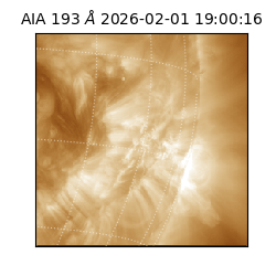 saia - 2026-02-01T19:00:16.843000