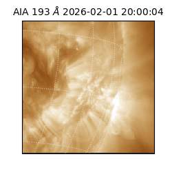 saia - 2026-02-01T20:00:04.843000