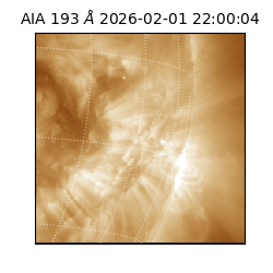 saia - 2026-02-01T22:00:04.843000