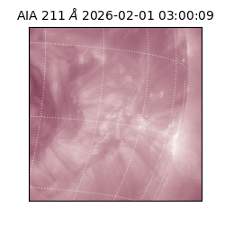 saia - 2026-02-01T03:00:09.637000