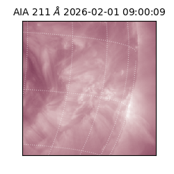 saia - 2026-02-01T09:00:09.626000